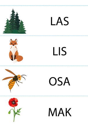 Paski wyrazowo-obrazkowe. Doskonalenie umiejętności czytania dla dzieci ze specjalnymi potrzebami edukacyjnymi