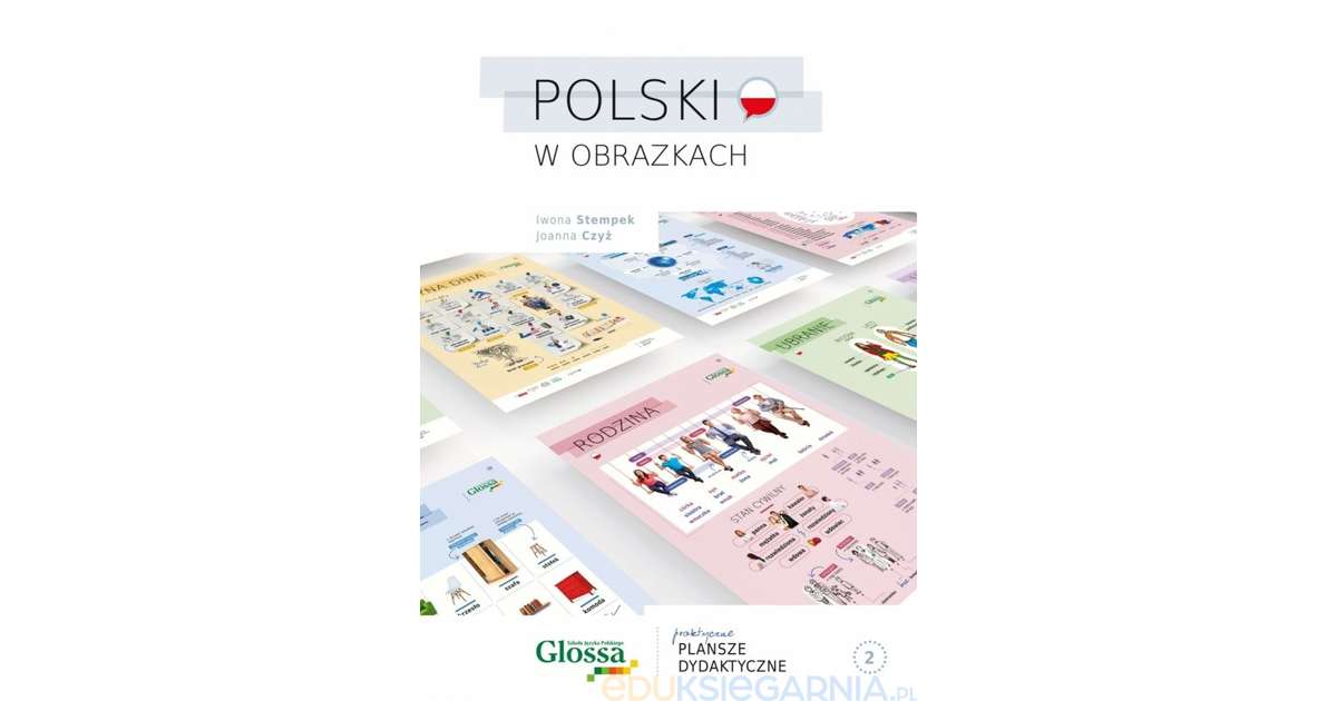 Polski w obrazkach 2. Praktyczne plansze dydaktyczne - nauka języka