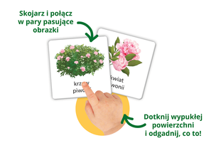 Kapitan Nauka. Montessori. Karty sensoryczne. Zwierzęta (1)