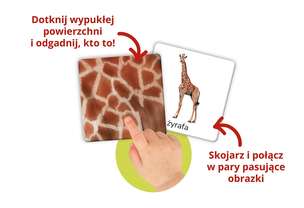 Kapitan Nauka. Montessori. Karty sensoryczne. Zwierzęta