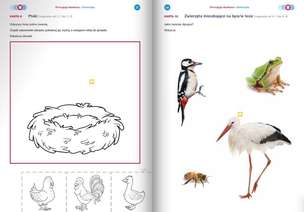Funkcje psychofizyczne. Percepcja słuchowa. Karty pracy. Poziom 1