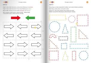 Funkcje psychofizyczne. Percepcja wzrokowa. Karty pracy. Poziom 1