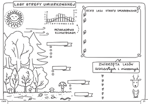 Geografia. Graficzne karty pracy dla klasy 5