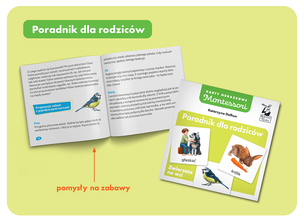 Kapitan Nauka. Montessori. Karty obrazkowe Pierwsze słowa + poradnik (1)