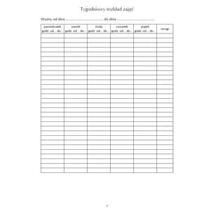 Dziennik zajęć pedagoga specjalnego