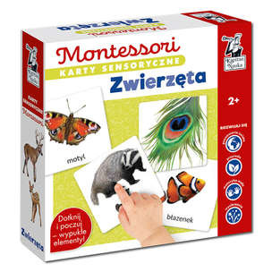Kapitan Nauka. Montessori. Karty sensoryczne. Zwierzęta
