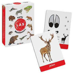 Karty Montessori. Las - gra edukacyjna memory