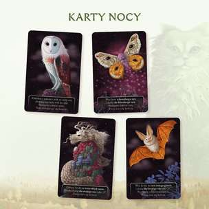 Koty - gra strategiczna