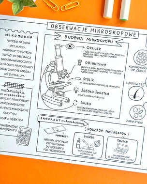 Przyroda. Graficzne karty pracy dla klasy 4