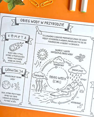 Przyroda. Graficzne karty pracy dla klasy 4