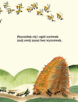 Ortografia w wierszykach Ó