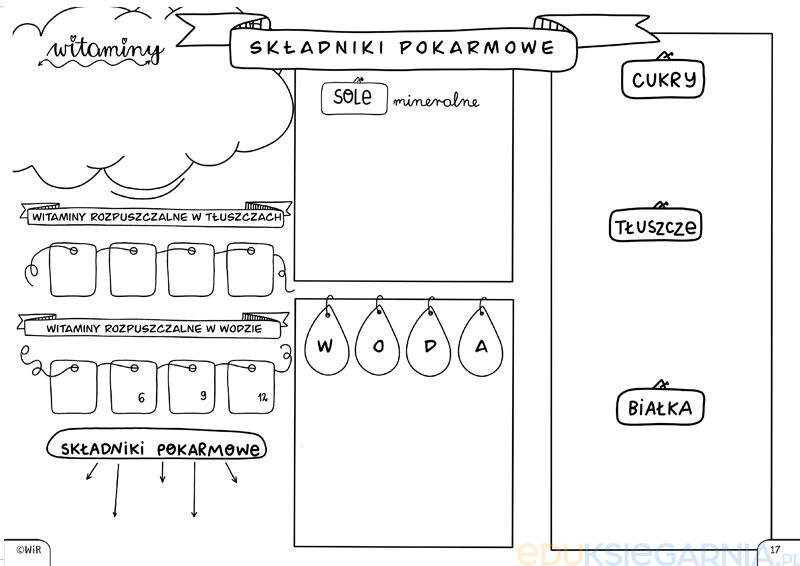 Karty Pracy Przyroda Klasa 4 Przyroda. Graficzne karty pracy dla klasy 4 - Eduksiegarnia.pl