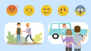 Eduterapeutica Lux. Kompetencje emocjonalno-społeczne. Przedszkole - pakiet (program multimedialny + pomoce tradycyjne)