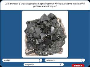 Didakta. Przyroda nieożywiona i ekologia - multimedialny program edukacyjny dla szkół podstawowych (wersja elektroniczna, bezterminowa licencja na 20 stanowisk PC) - wersja polska PL