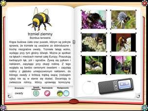 Mądrala na wsi - multimedialny program edukacyjny dla szkół podstawowych (wersja elektroniczna, bezterminowa licencja na 20 stanowisk PC) - wersja polska PL