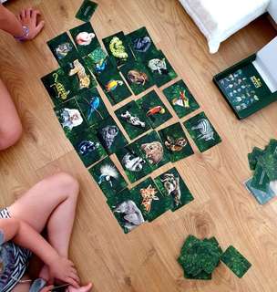 W dżungli emocji - gra terapeutyczna pomagająca odnaleźć się w gąszczu emocji