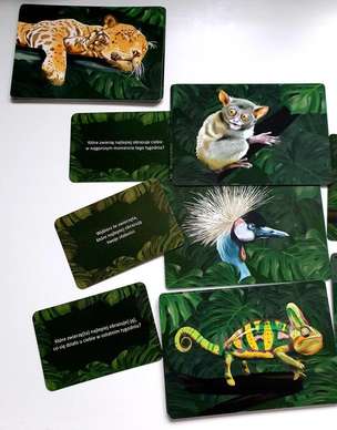 W dżungli emocji - gra terapeutyczna pomagająca odnaleźć się w gąszczu emocji