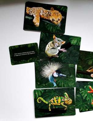 W dżungli emocji - gra terapeutyczna pomagająca odnaleźć się w gąszczu emocji