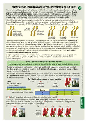 Ściągi. Biologia (klasy 5-8 szkoły podstawowej)