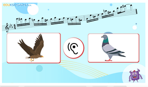 Eduterapeutica Lux. Koncentracja uwagi - pakiet multimedialny