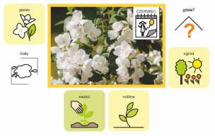 Mówiące Gazetki. Czerwiec - pomoc dydaktyczna z symbolami MÓWik