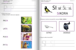 Pewny Start. Poziom E. Karty pracy (Czytanie, pisanie. Plastyka, grafomotoryka) - ZESTAW