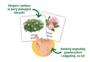 Montessori. Przyroda tu i tam - książka + karty sensoryczne