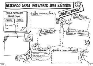 Biologia. Graficzne karty pracy dla liceum i technikum. Poziom podstawowy. Zestaw 1