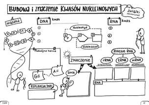 Biologia. Graficzne karty pracy dla liceum i technikum. Poziom podstawowy. Zestaw 1