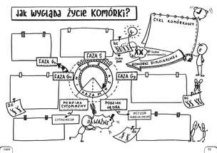 Biologia. Graficzne karty pracy dla liceum i technikum. Poziom podstawowy. Zestaw 1