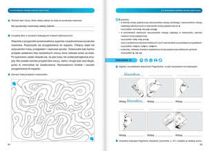 Ortograffiti. Pisownia wyrazów z Ą, Ę, JI, II - zeszyt ćwiczeń dla młodzieży w wieku 13-18 lat