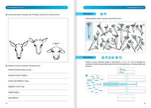 Ortograffiti. Pisownia wyrazów z Ó i U 13-18 lat