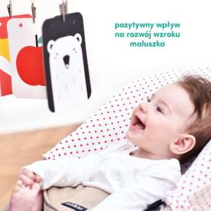 CzuCzu. Starter malucha. Co widzę - zestaw edukacyjny