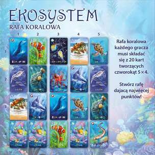 Ekosystem 2. Rafa koralowa - gra karciana