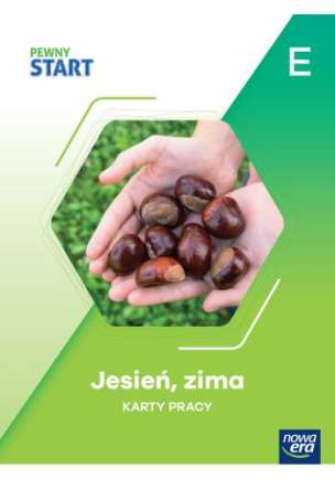 Pewny Start. Poziom E. Karty pracy (Jesień, Zima, Wiosna, Lato) - ZESTAW