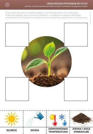 Żywioły. Poziom 3. Materiały na zajęcia rozwijające kreatywność