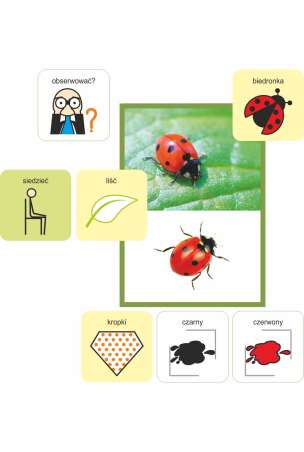 Mówiące Gazetki. Maj - pomoc dydaktyczna z symbolami MÓWik