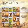 Ekosystem 3. Sawanna- gra karcian