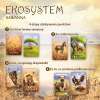 Ekosystem 3. Sawanna- gra karcian