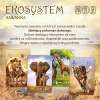 Ekosystem 3. Sawanna- gra karcian
