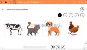 mTalent Wczesne wspomaganie rozwoju (2+) - program multimedialny
