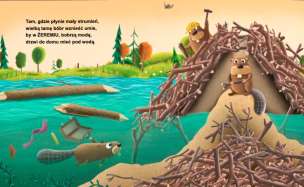 Gdzie się zwierzę spać wybierze?