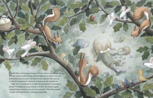 Puszka w lesie i inne opowiadania o empatii