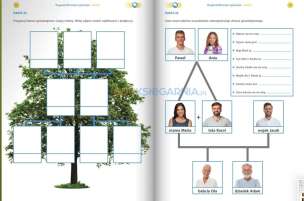 Funkcje psychofizyczne. Wypowiedzi ustne i pisemne. Karty pracy. Poziom 3