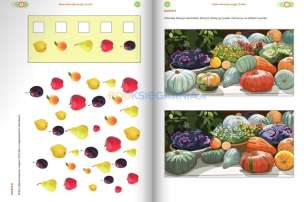 Funkcje psychofizyczne. Koncentracja uwagi. Karty pracy. Poziom 3