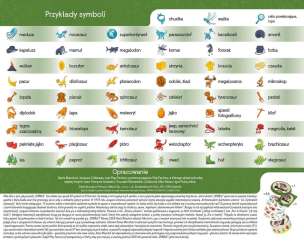 Dobble Dinozaury- gra na spostrzegawczość i refleks