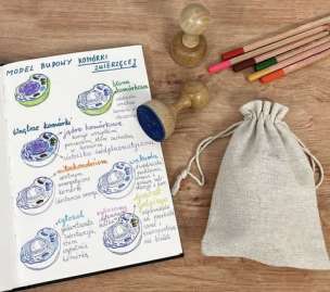 Stempel edukacyjny - model 3D budowy komórki zwierzęcej