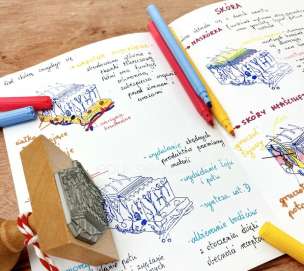 Stempel edukacyjny - skóra (przekrój)