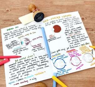 Stempel edukacyjny - przekrój ludzkiego oka