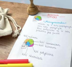 Stempel edukacyjny - mózgoczaszka
